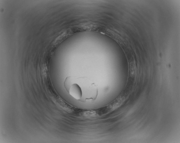 X0000071900279200607281811