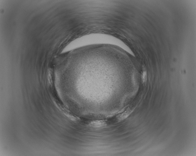 X0000071900280200607281811