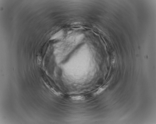 X0000071900281200607281811