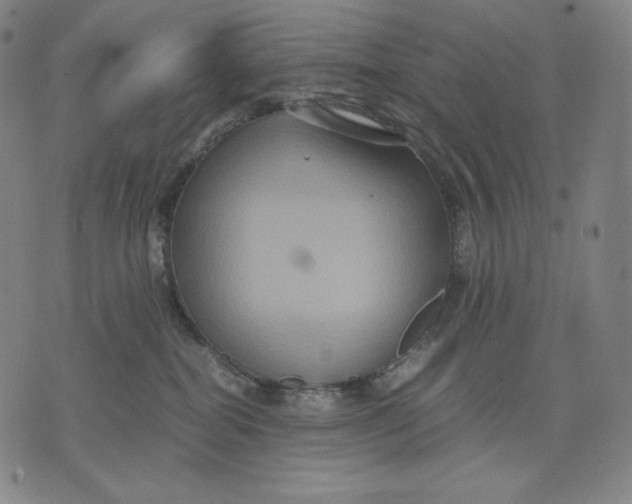 X0000071900282200607281811