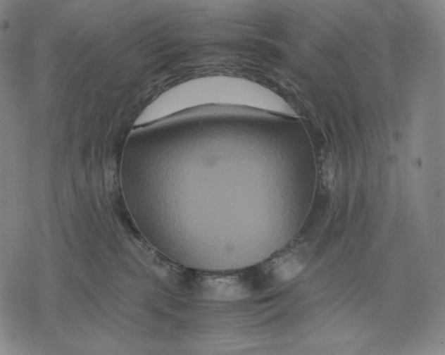 X0000071900283200607281811