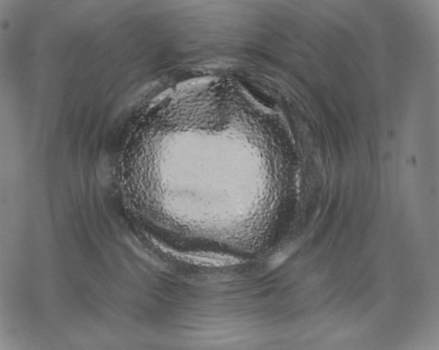 X0000071900284200607281811