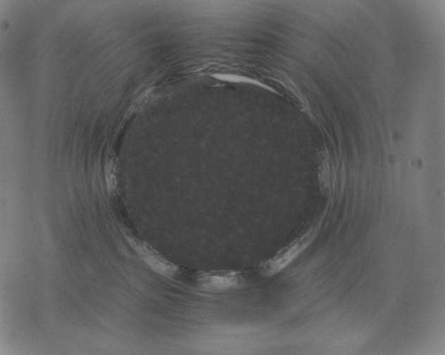 X0000071900285200607281811