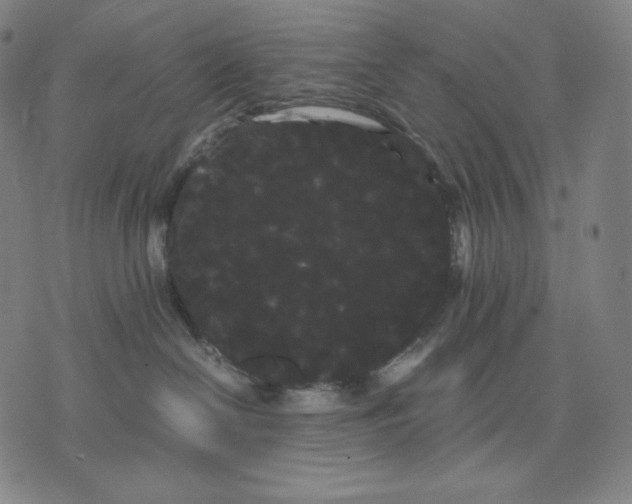 X0000071900286200607281811