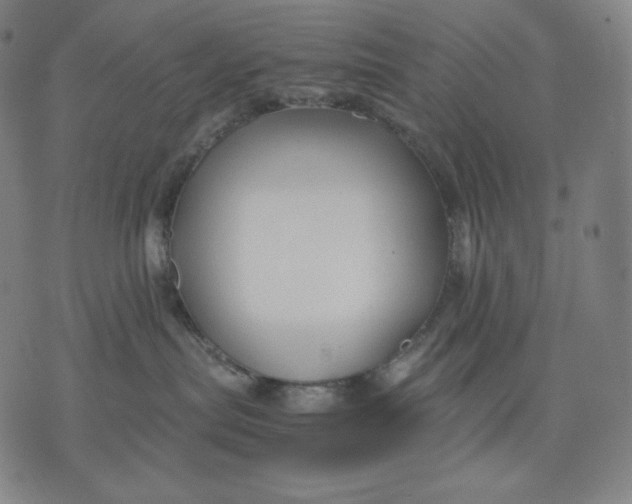 X0000071900287200607281811