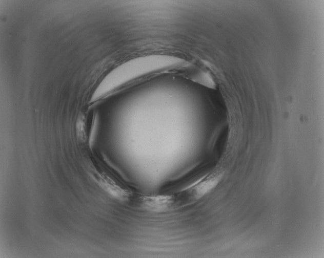 X0000071900288200607281811