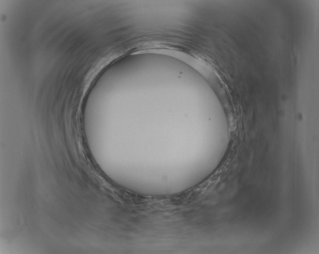 X0000071900289200607281810