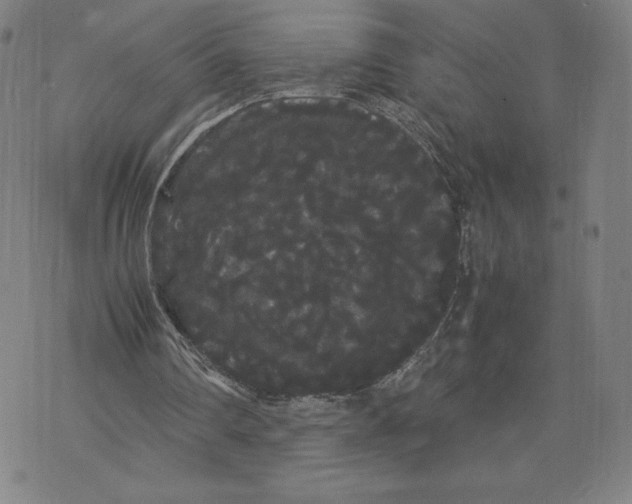 X0000071900290200607281810