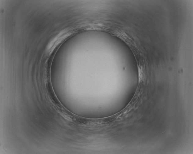 X0000071900291200607281810