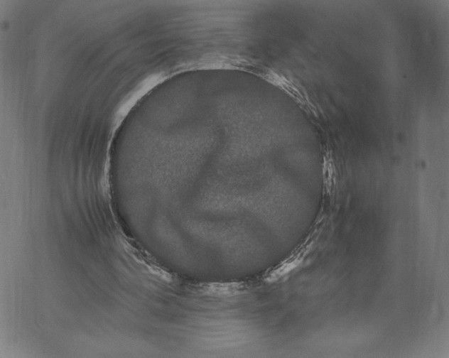 X0000071900292200607281810