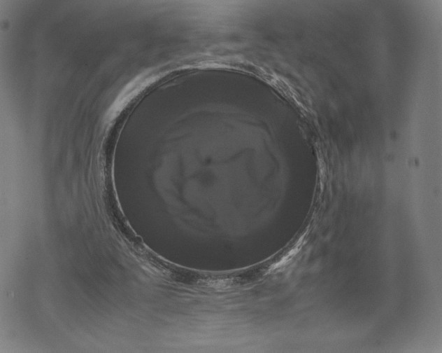 X0000071900295200607281810