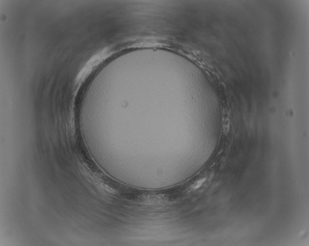 X0000071900296200607281810