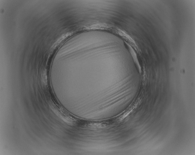 X0000071900298200607281810