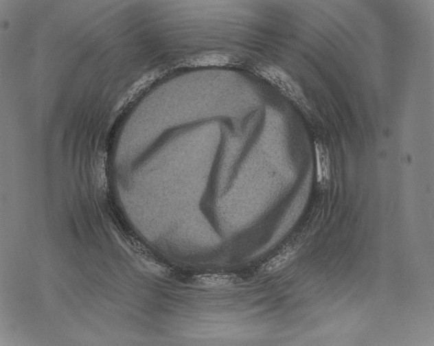 X0000071900300200607281810