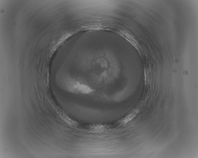 X0000071900301200607281810