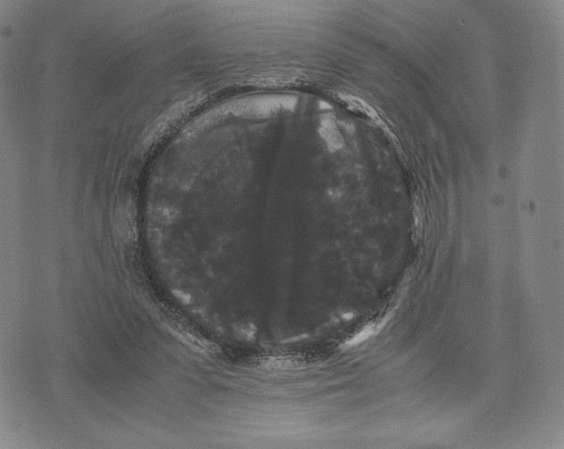 X0000071900303200607281810