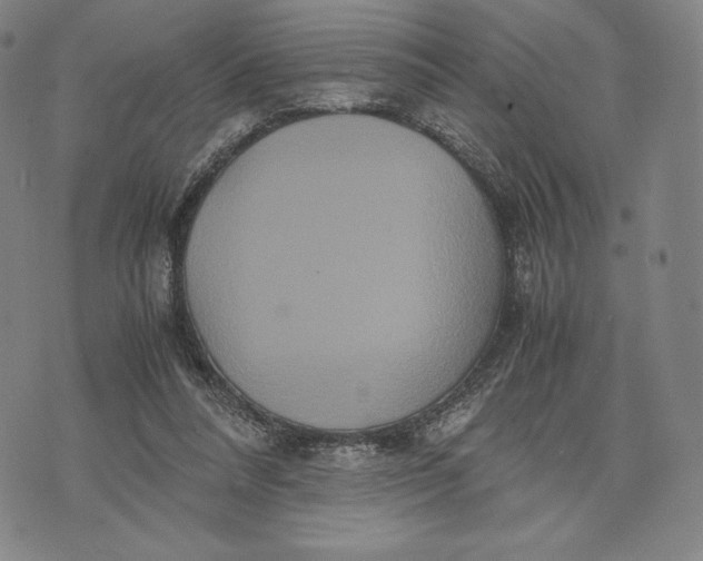 X0000071900304200607281810