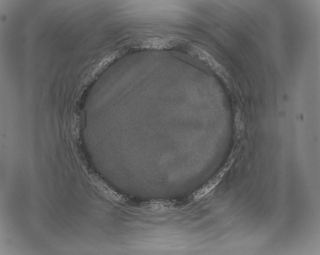 X0000071900305200607281810