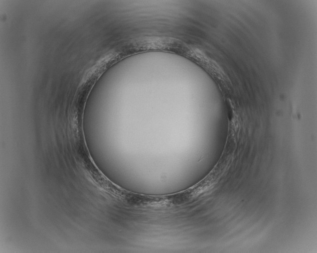 X0000071900306200607281810