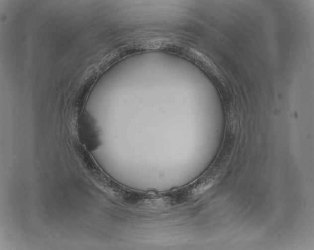 X0000071900307200607281810