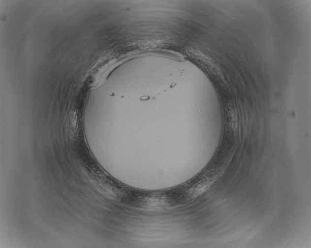 X0000071900308200607281810