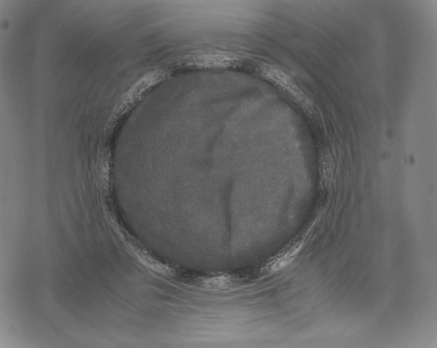 X0000071900309200607281810