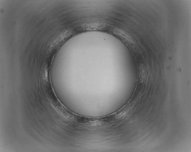 X0000071900310200607281810