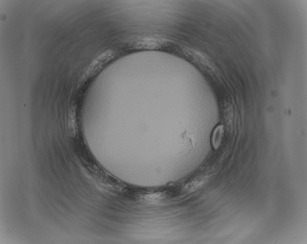 X0000071900312200607281810