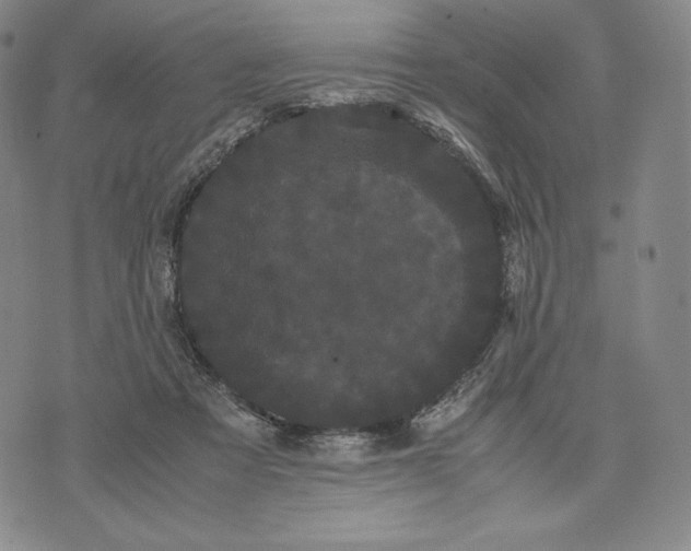 X0000071900313200607281810