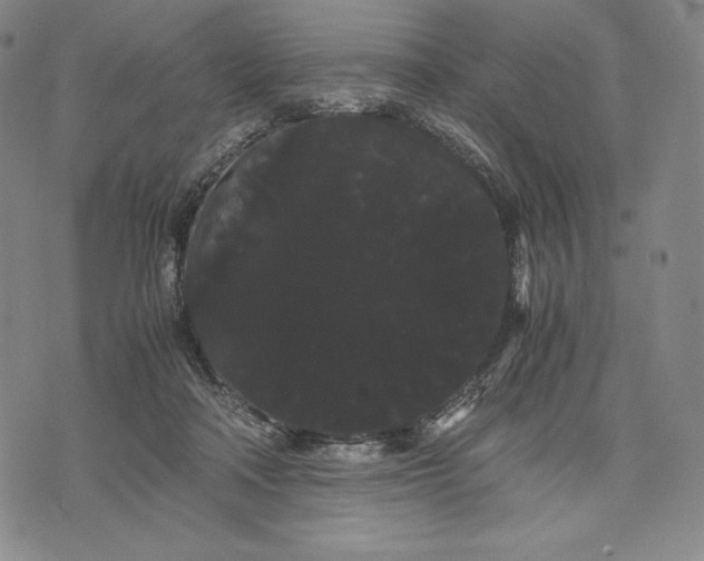 X0000071900314200607281810