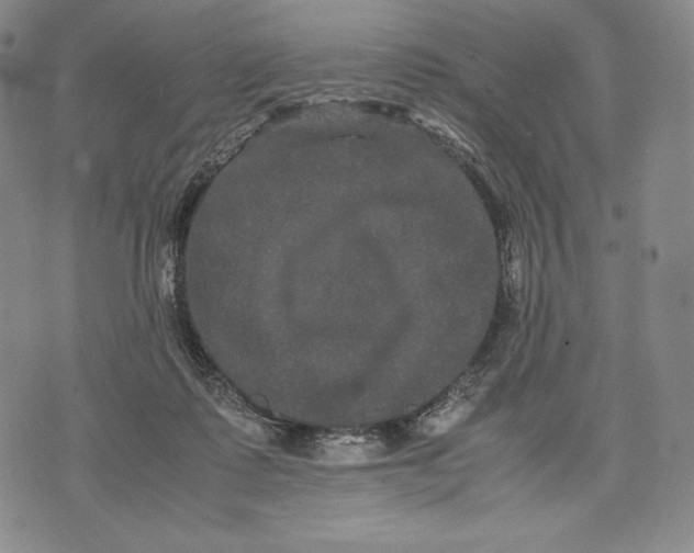 X0000071900315200607281810