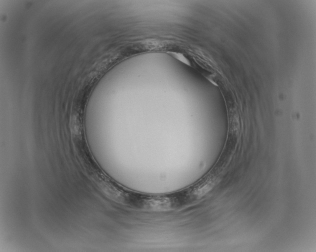 X0000071900317200607281810