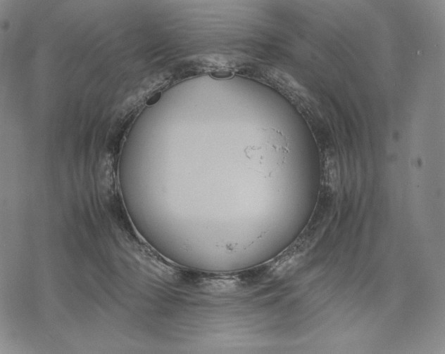 X0000071900318200607281810