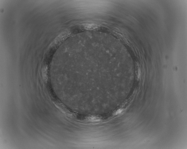 X0000071900319200607281810