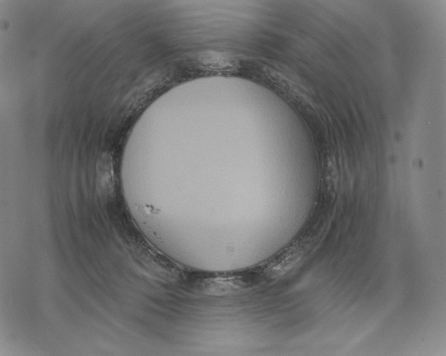 X0000071900320200607281810