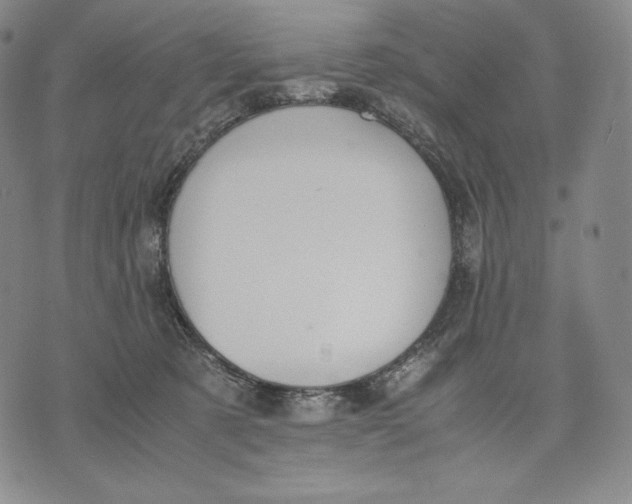 X0000071900321200607281810