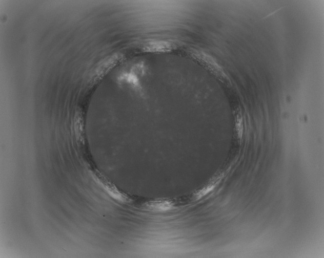 X0000071900322200607281810