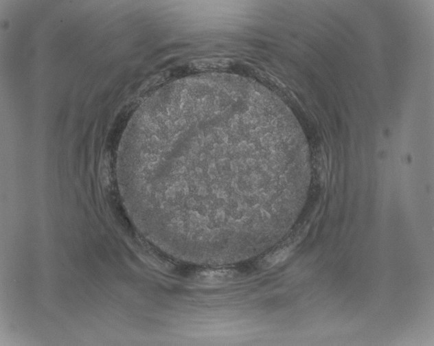 X0000071900323200607281810