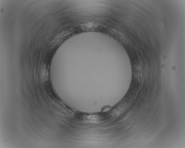 X0000071900324200607281810