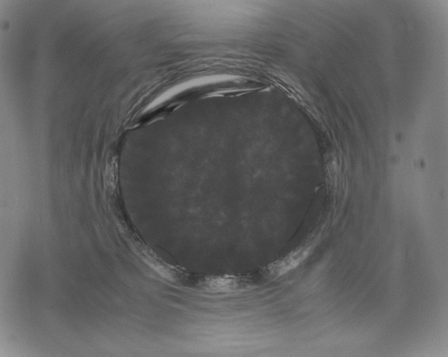 X0000071900325200607281810