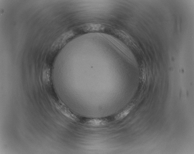 X0000071900326200607281810