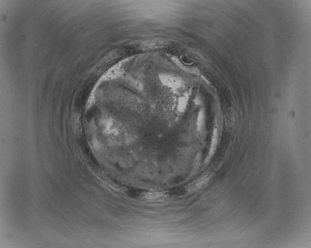 X0000071900327200607281810