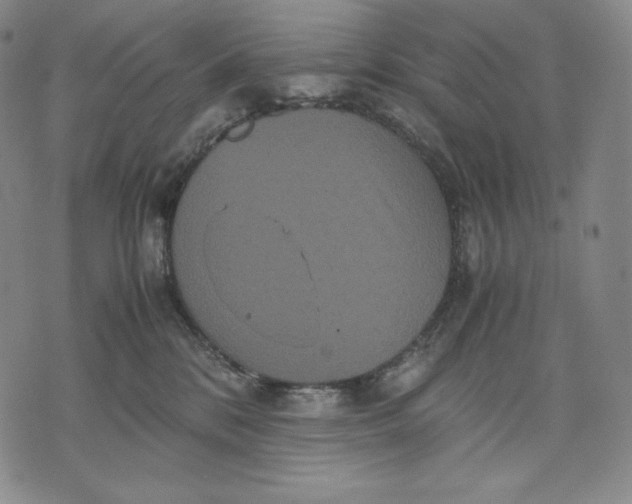 X0000071900328200607281810