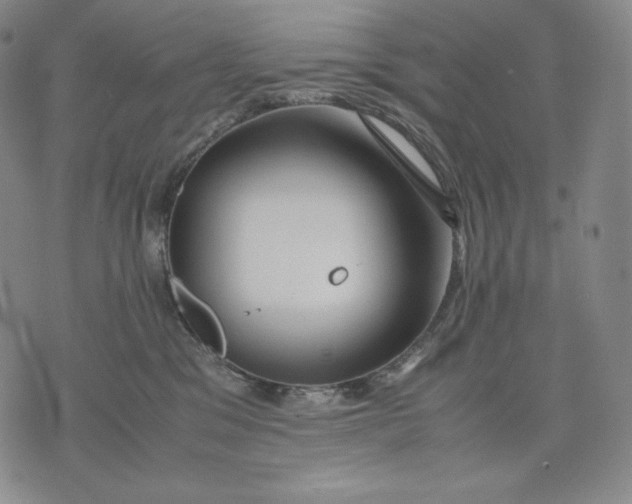 X0000071900329200607281810