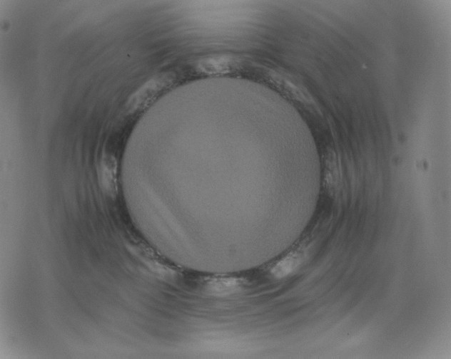 X0000071900332200607281809