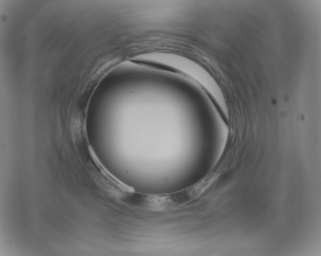 X0000071900333200607281809