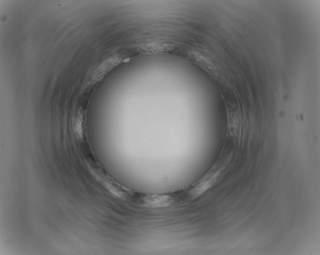 X0000071900334200607281809