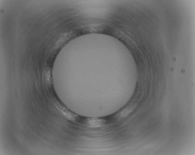 X0000071900336200607281809