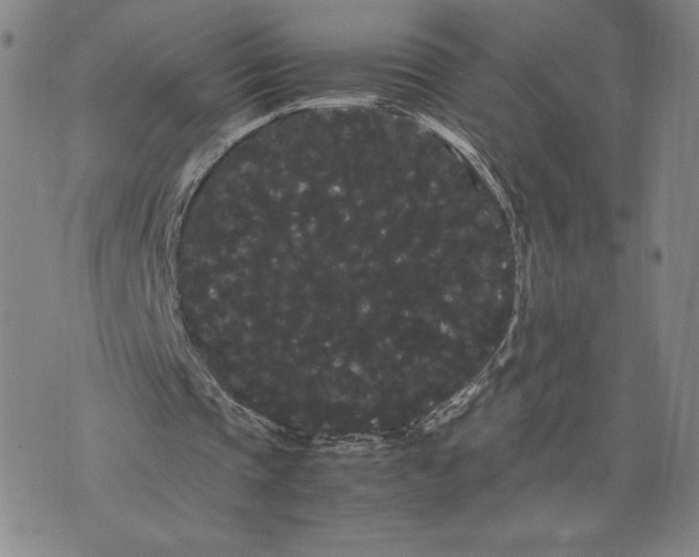 X0000071900337200607281809