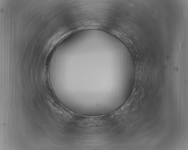 X0000071900338200607281809